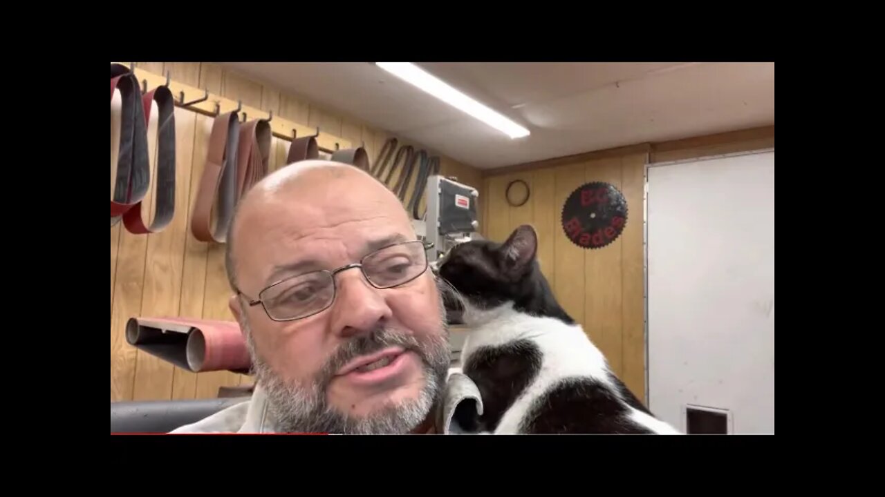 Cat chews man’s ear off