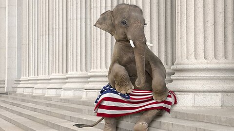 Pathetic: GOP “Weighing” INvestigation Into Twitter Files Proving Democrat Party Corruption