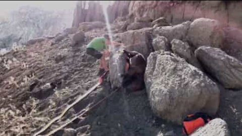 Ragazzo libera cavallo incastrato tra le rocce