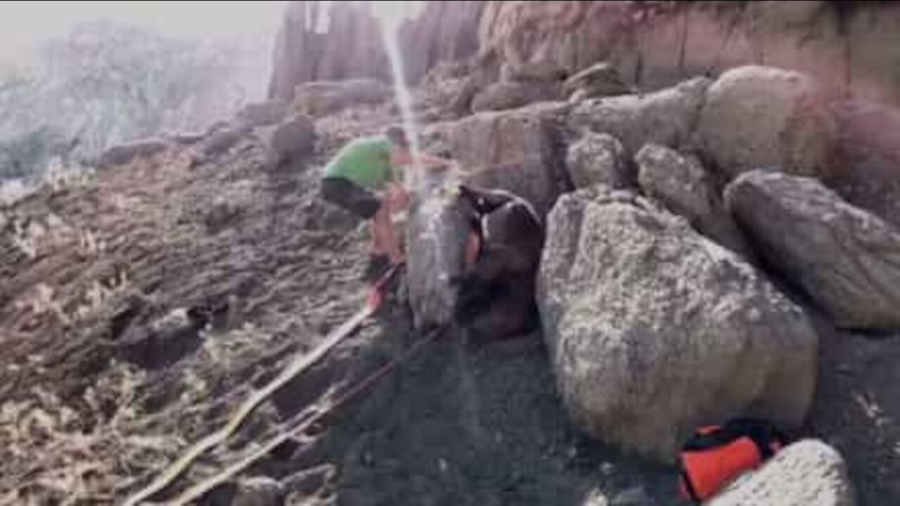 Ragazzo libera cavallo incastrato tra le rocce