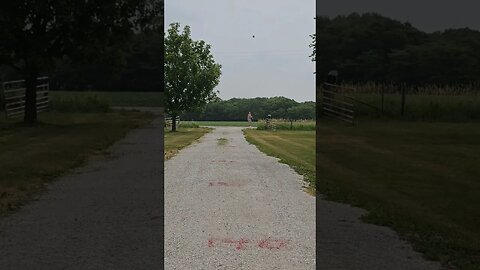 Discus Throw practice, Crazy 🤪 old man