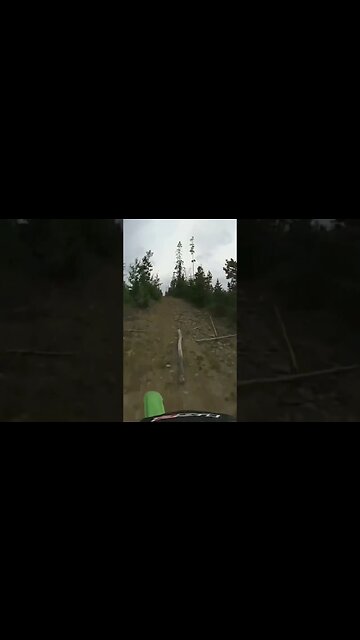 Burnt Timber, Alberta. #trailrides #alberta #ohhighbud