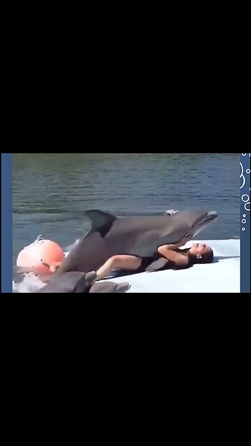 Funniest Animals 😂 part 9