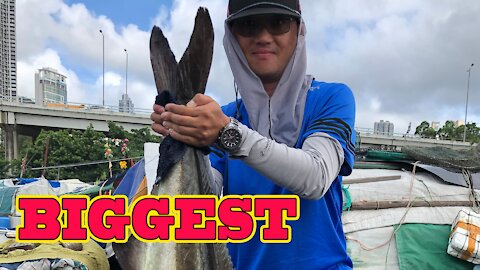 The BiGGEST Fish I caught in Hong Kong