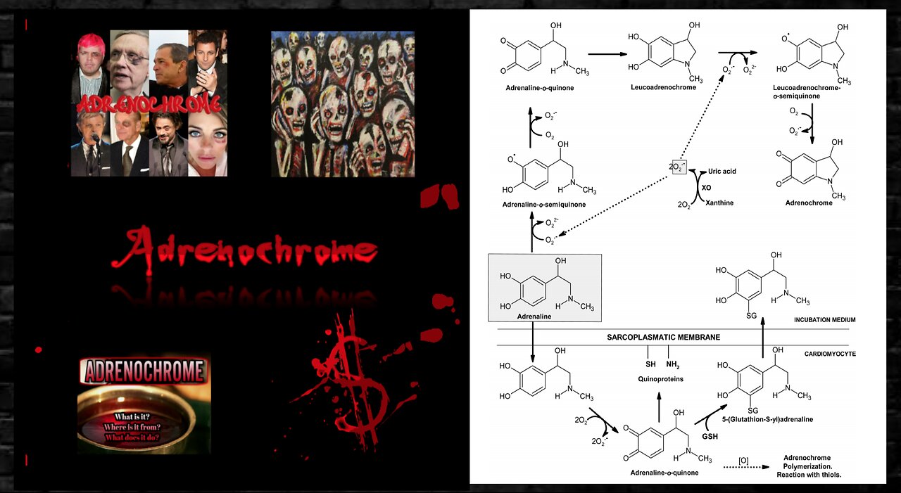 ⬛️👹 MISSING CHILDREN ▪️ ADRENACHROME: A113