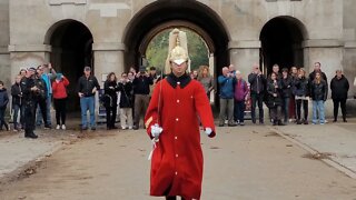 changing of the Guards November 2022 #horseguardsparade