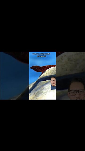 Anoles use Dewlaps to show off