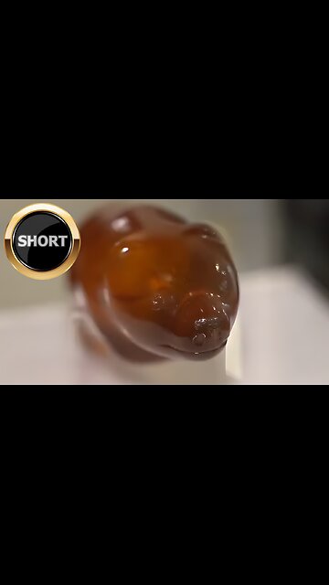 Adorable Stone Age Artifact | The Amber Bear of Slupsk