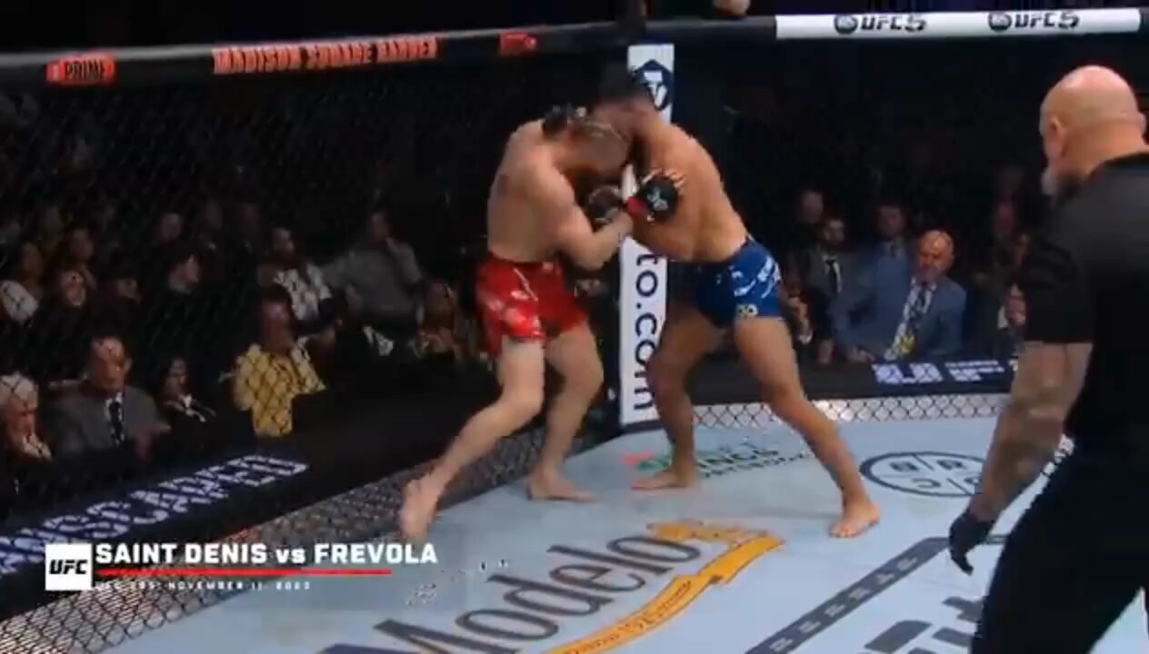 Best knockout in UFC