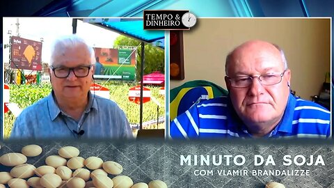 Soja se protegendo nesta véspera de USDA