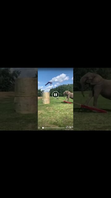 UFO captured during a tik tok video.(mirror from Facebook)