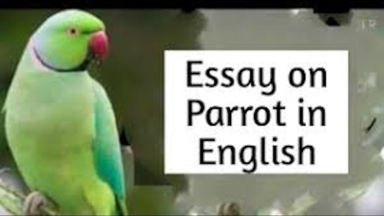 Essay 0n Parrot in English /10 lines Essay on the Parrot by Snehankur Deshing