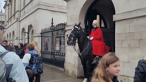 The kings guard comes out of the box to get the police #horseguardsparade