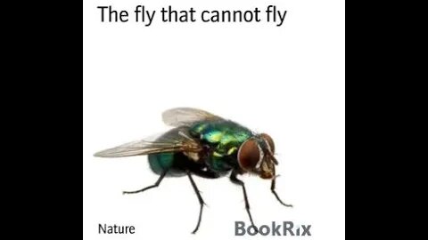 A Dramatic Reading of The Fly that Could not fly by Lance Ronay