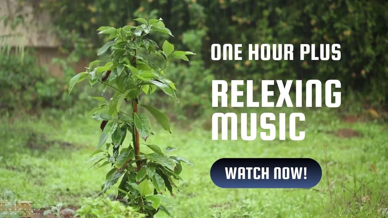 Relaxing Music for Stress Relief with Rain Pouring