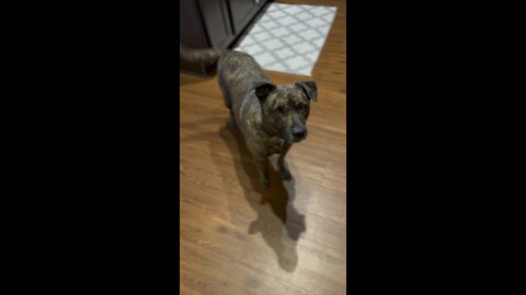My baby
