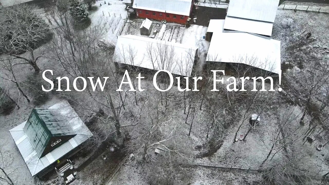 GSD, our first Snow Day on the farm