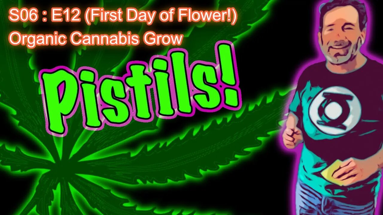 S06 E12 (Day #78) || Pistils!!! First Day of Flower || Caring for a Runt || BlueMat Soil Meter