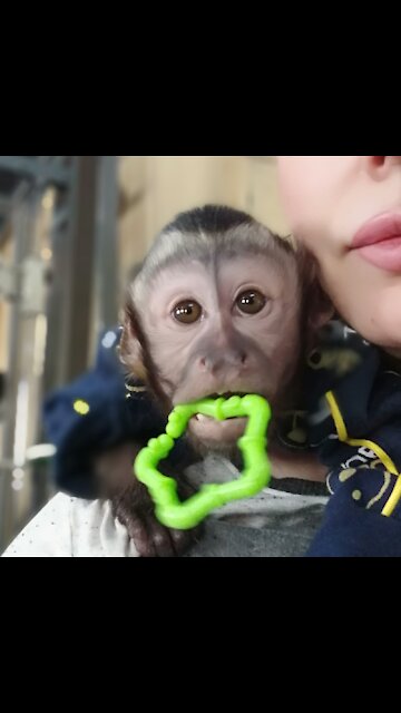 Наши ежедневные занятия