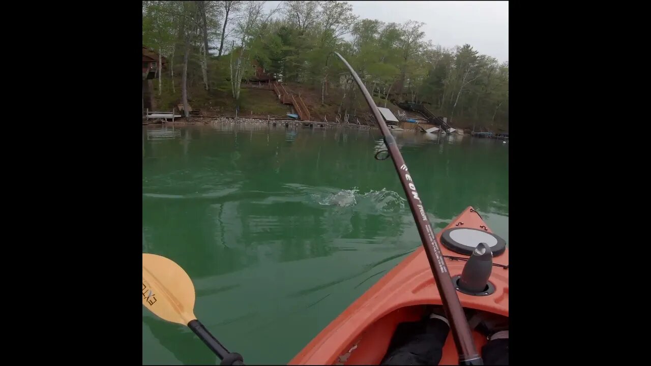 Big Bass shakes off