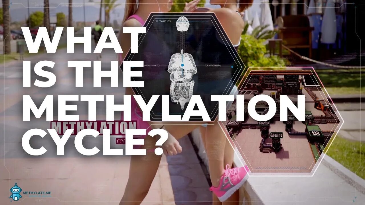 The core of our metabolism - Methylate.me