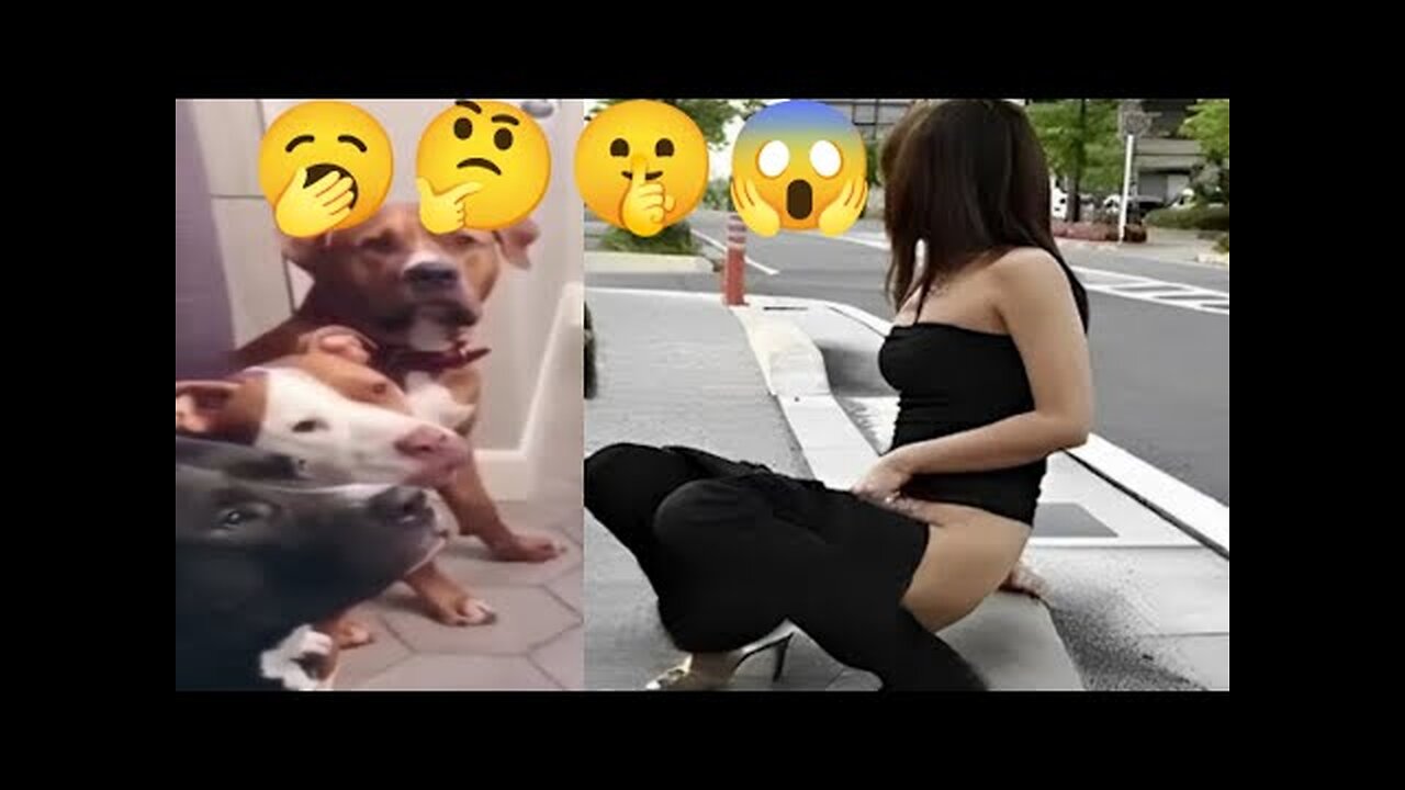 Funniest Animals Video -funny dogs and cats animals Video 2024,Comedy video