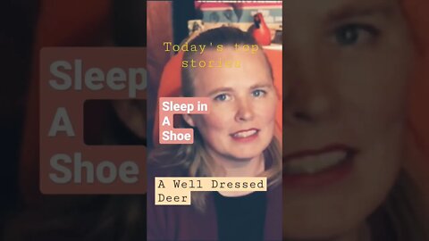 Today's Top Stories