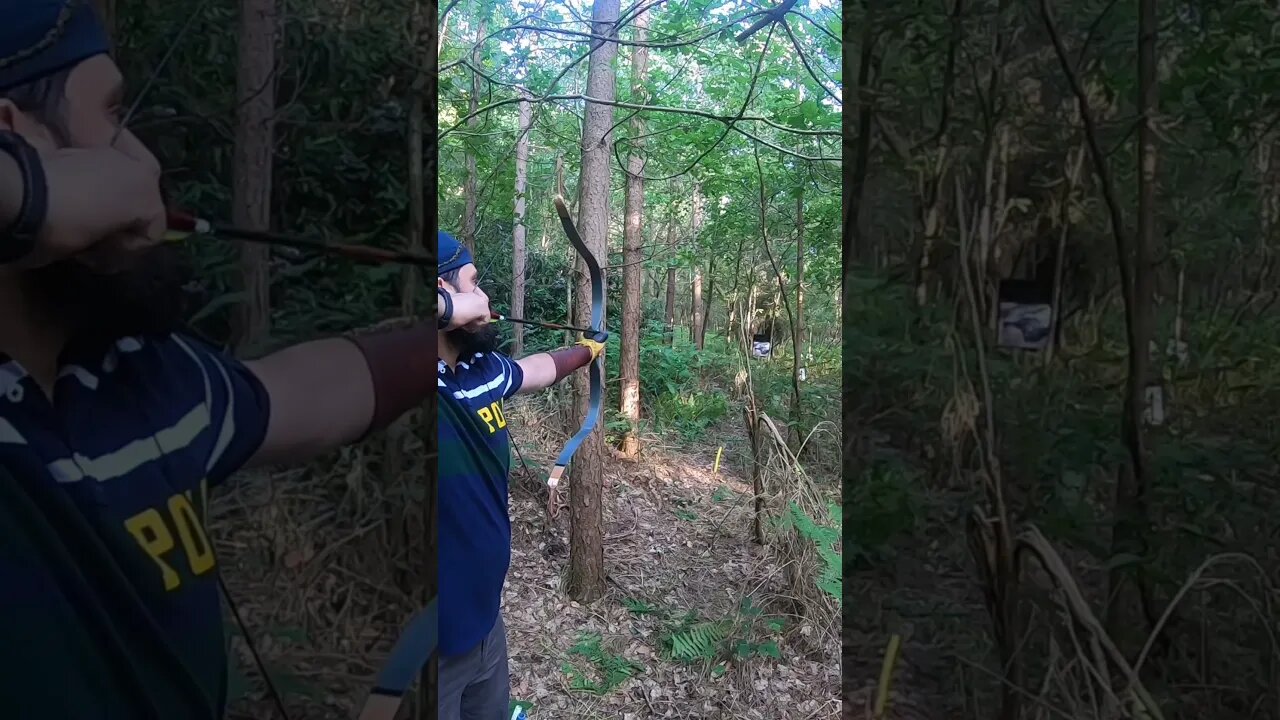 80LBS PARAGON RAIDER BOW 2D TARGET.