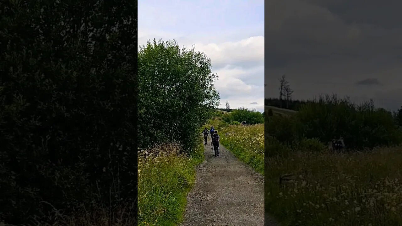 Strolling along on The West Highland Way Scotland #westhighlandway