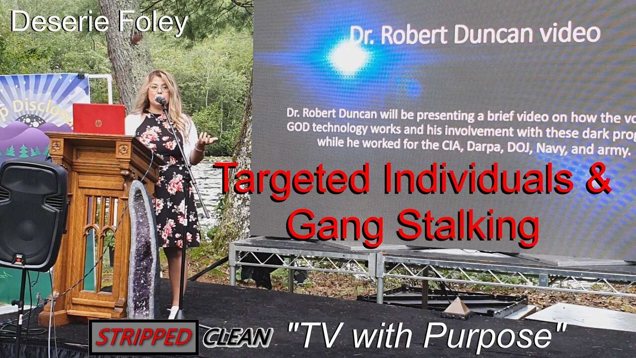 Targeted Individuals & Gang Stalking By: Deserie Foley