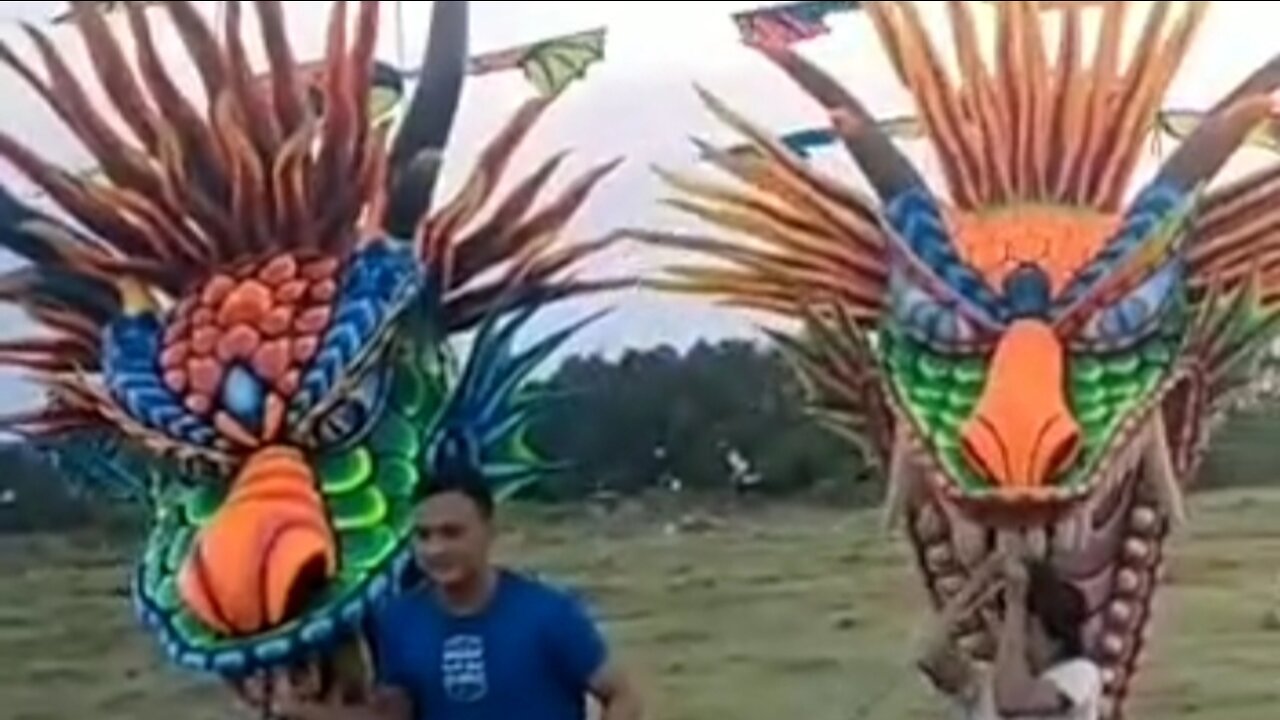 longest dragon kite