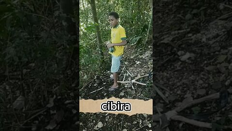 cibira carregou a ratoeira de Zé da caça e arrumou o problema grave😂😂😂😂#comedia