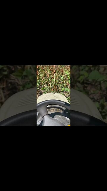 Cub Cadet 2166 vs 8 Foot Tall Japanese Knotweed