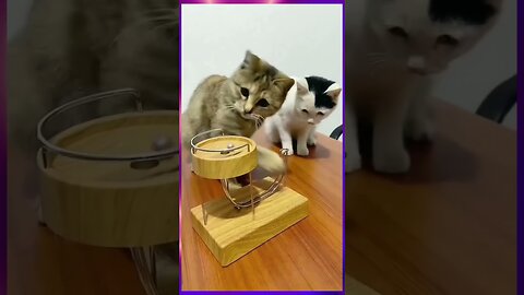 Juguete para gatos.