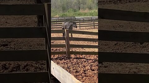 And a visitor