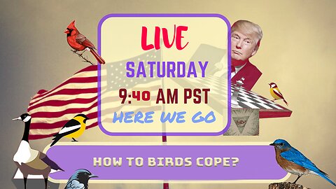 Saturday *LIVE* How Do Birds Cope