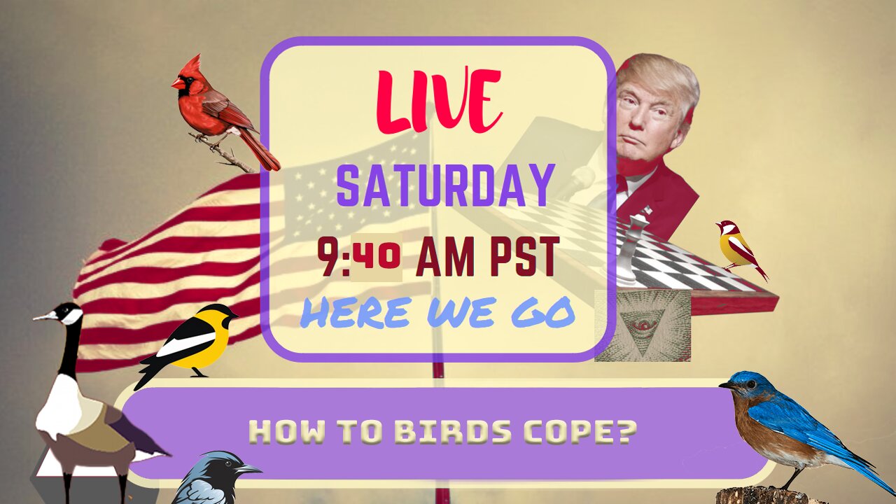Saturday *LIVE* How Do Birds Cope