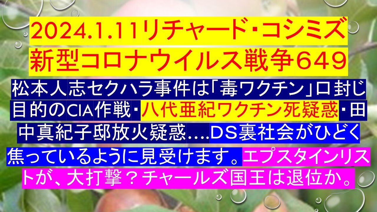 2024.1.11リチャード・コシミズ新型コロナウイルス戦争６４９