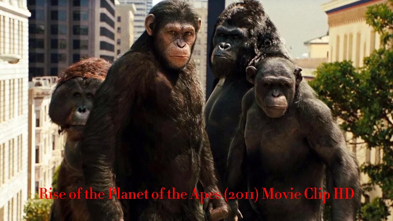 Apes Attack San Francisco Scene - Rise of the Planet of the Apes (2011) Movie Clip HD