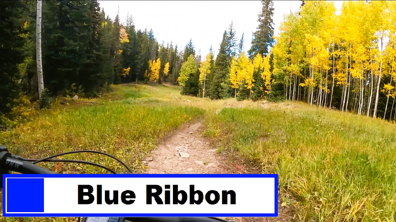 Blue Ribbon - Powderhorn