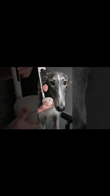 Let me do It for You #shorts #otamatone