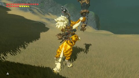 Breath of the Wild Master Mode 166