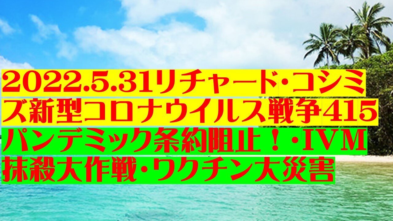 2022.05.31 リチャード・コシミズ新型コロナウイルス戦争４１５