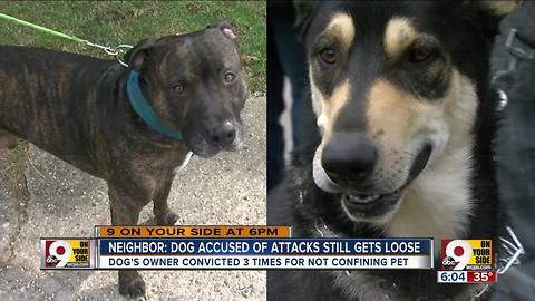 I-Team: Dog accused of biting neighbor, other dog