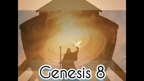 Genesis 8