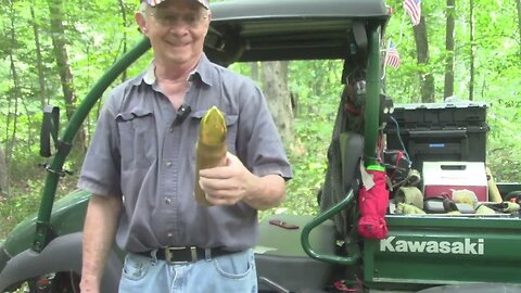 90 Hauling the Ash tree up and out