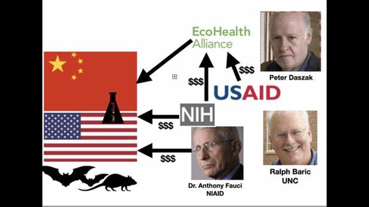 NIH Directly Responsible for Covid