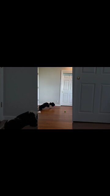 Hollywood's Happy Birthday