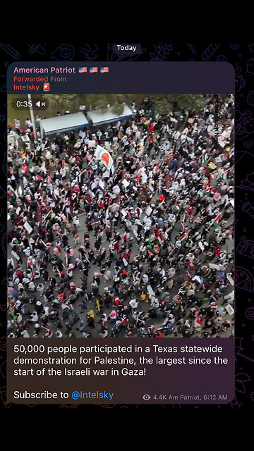 50,000 people participated in a Texas statewide demonstration for Palestine