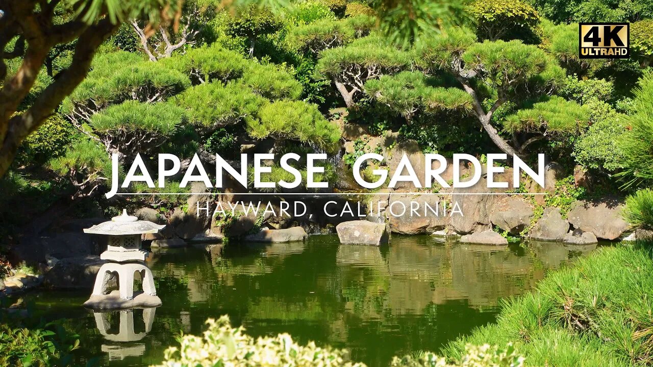 Hayward Japanese Gardens 4K - Calming Japanese Garden with Pond, Koi Fish, Waterfall, and Birdsong